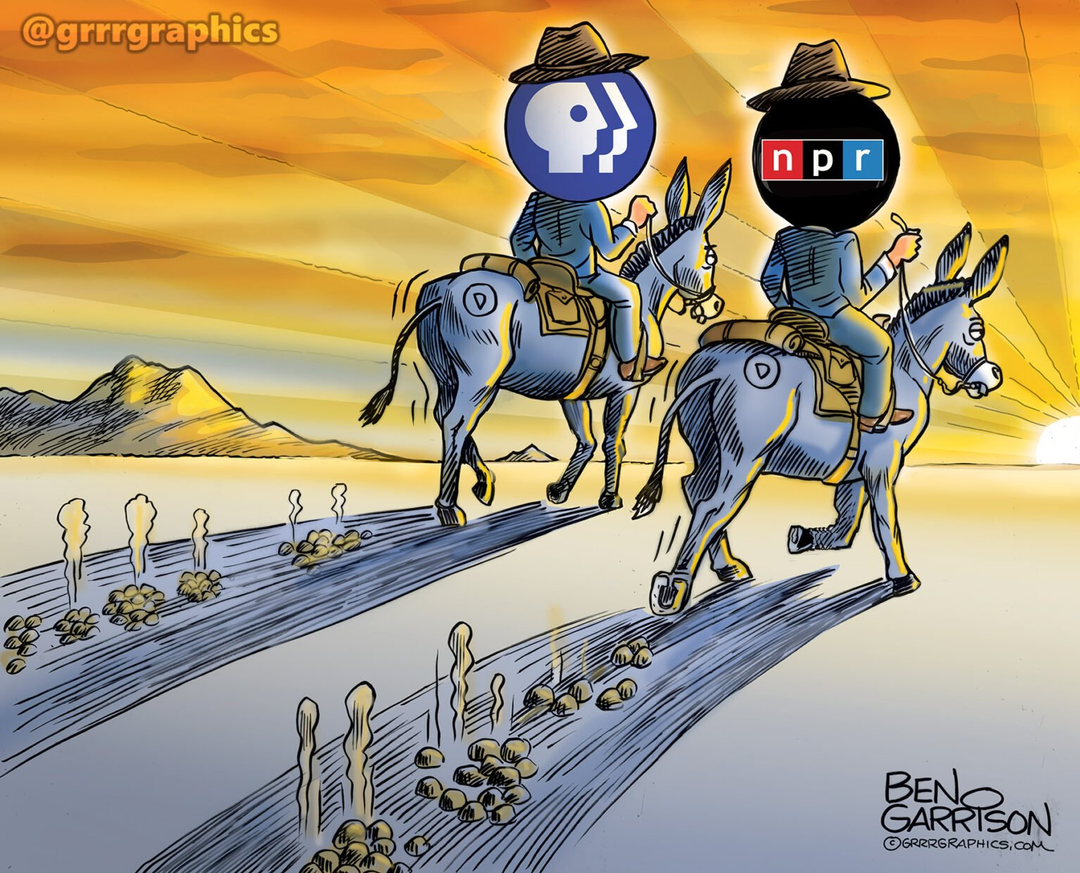 PBS and NPR ride off into the sunset leaving a trail of propaganda panel 1